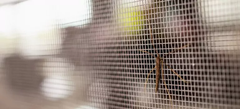 Repair Mosquito Mesh For Windows in Miami Beach, FL